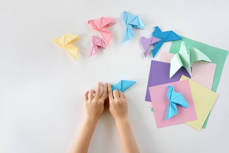 Children's hands do origami from colored paper on white background. lesson of origamiの写真素材