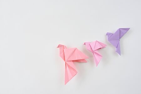 Bird dove of origami on a white background.の写真素材