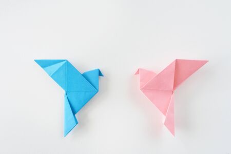 Bird dove of origami on a white background.の写真素材