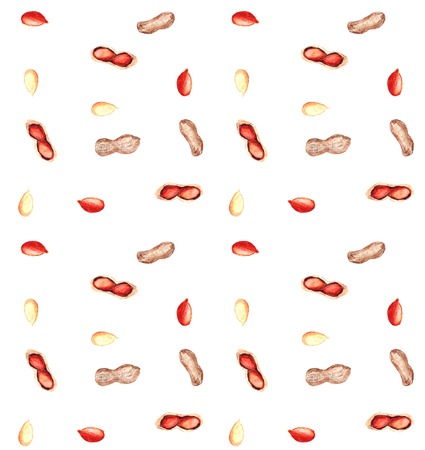 Seamless pattern with watercolor different peanutsのイラスト素材