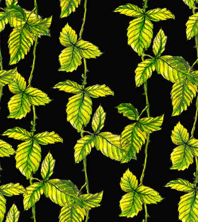 Watercolor pattern with vertical leavesのイラスト素材