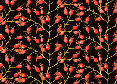 Seamless  pattern with watercolor brier berries on the black backgroundのイラスト素材