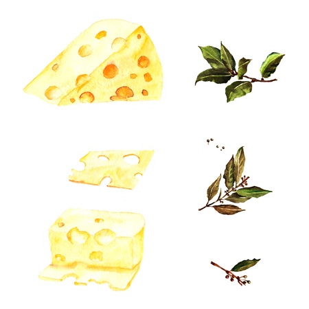 Watercolor illustration with cheese and laurelのイラスト素材