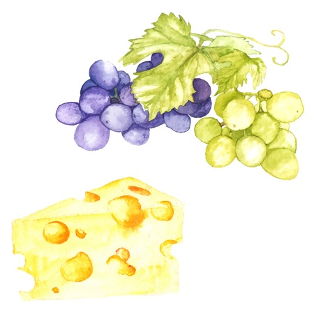 Watercolor illustration  with isolated vector grape and cheese on the white backgroundのイラスト素材