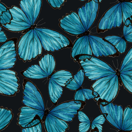 Hand drawn watercolor seamless pattern with colorful  blue tropical butterflies on the black backgroundの写真素材