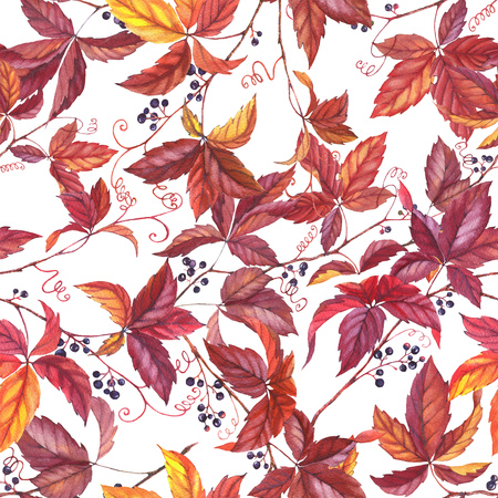 Hand drawn colorful seamless pattern with watercolor wild grape. Autumn repeated backgroundの写真素材