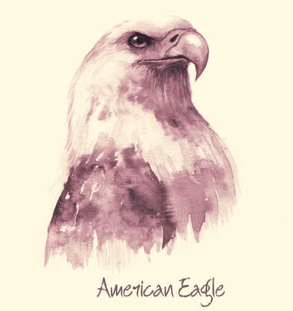 Hand-drawn watercolor drawing of the beautiful eagle. The symbol of the USA - eagle illustration isolated on the white background in retro styleの写真素材