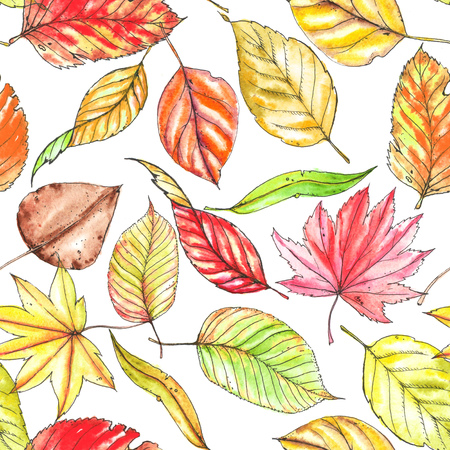 Seamless hand drawn repeated autumn pattern. Colorful stylish different leaves. Watercolor and ink drawingの写真素材