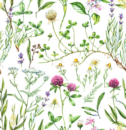 Hand-drawn watercolor seamless botanical pattern with different plants. Repeated natural background with meadow and medical plants: chamomile, trefoil, lavender, tea tree and other.の写真素材