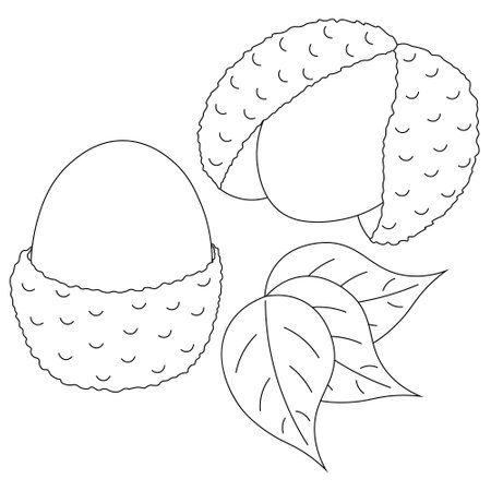 Lychees and leaf in black and whiteのイラスト素材