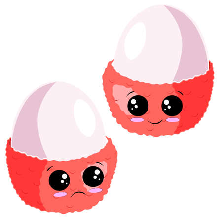 Cute cartoon happy and sad half lycheesのイラスト素材