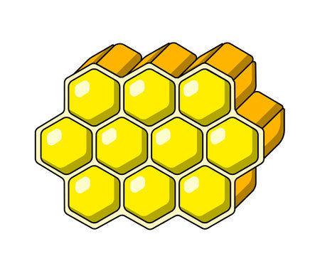 Single element Honeycomb. Draw illustration in colorのイラスト素材