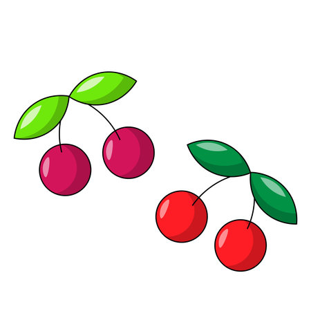 Two cartoon cherry berries with leaves in colorのイラスト素材