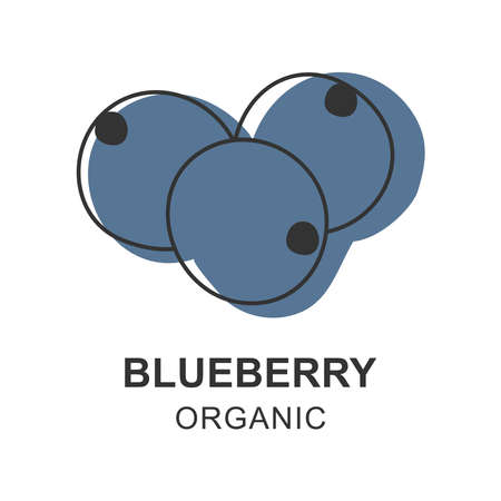 Blueberry  isolated vector illustration on white backgroundのイラスト素材