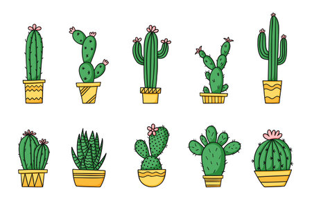 Set cute cartoon cactus and succulents in pots. Isolated vector illustration on white background.のイラスト素材