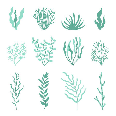 Set cute green seaweed. marine plant elements. cartoon vector illustration.のイラスト素材