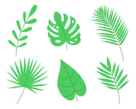 Tropical palm leaves set. cartoon vector illustration.のイラスト素材