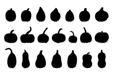 Pumpkin silhouette big set. Isolated vector illustration on white backgroundのイラスト素材