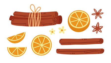 Spice set. Cinnamon sticks bark, anise star, orange fruit slices. Hand drawn cartoon vector illustrationのイラスト素材