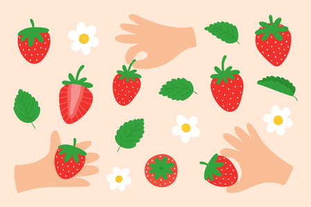 Cute set of strawberry: berries, flowers, leaves. Strawberries in hands. Sweet garden fruit. Fresh red berry slice. Cartoon hand drawn vector illustrationのイラスト素材