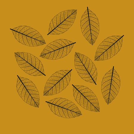 Illustration of Leaf Skeletonizationのイラスト素材