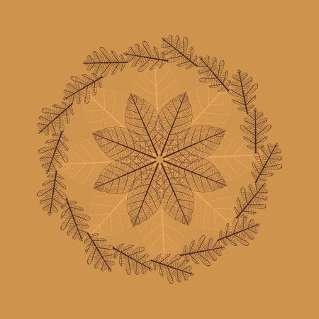 Illustration of Leaf Skeletonizationの写真素材