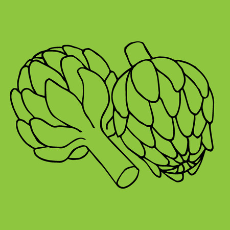 doodle illustration of artichoke, organic vegan background, healthy foodのイラスト素材