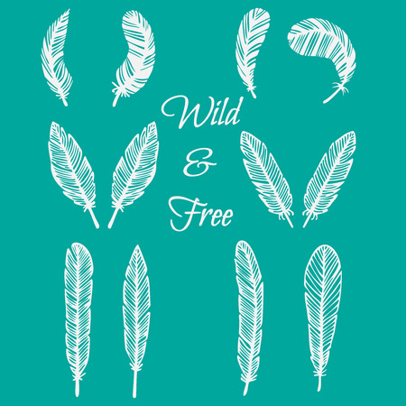hipster feather elements, vintage doodle outline feather vectorのイラスト素材
