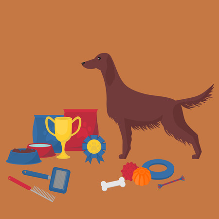 Irish setter with dog items. Pet care elements for grooming, walking and feedingのイラスト素材
