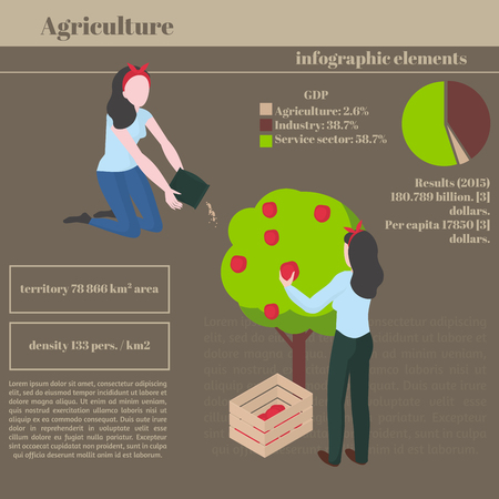 Infographic design gardening business template. Gardening work and hobby.のイラスト素材