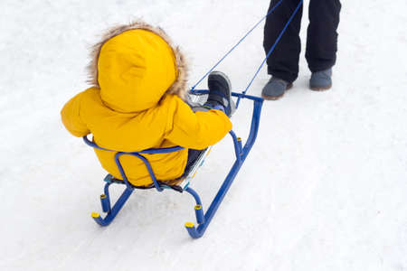 Happy dad pulling sledge with baby. Father and son in warm yellow jacket back view, outdoor family time winter activityの写真素材