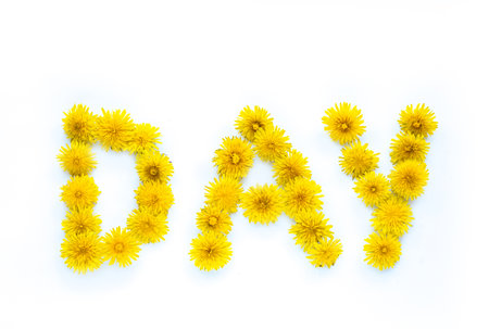 The inscription day from dandelions on a white background.の写真素材