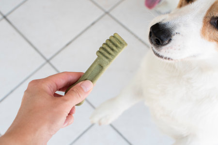Hand holding a dog brush in front of white ceramic tile floor.の写真素材