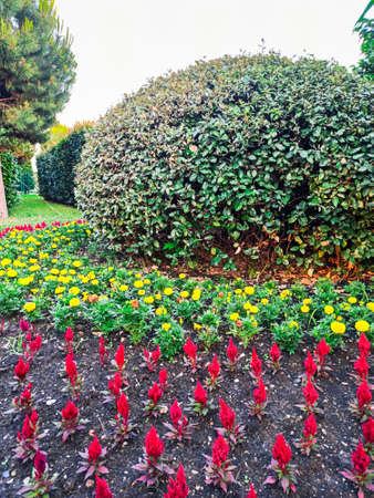 Sochi, Russia, summer of 2020. Deserted paths among trees and beautiful flower beds for walks in Sochi Park. Quarantine, coronavirus. No people. City attractionのeditorial素材