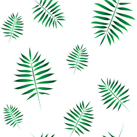Palm leaves seamless pattern. Tropical leaves isolated on white backgroundのイラスト素材