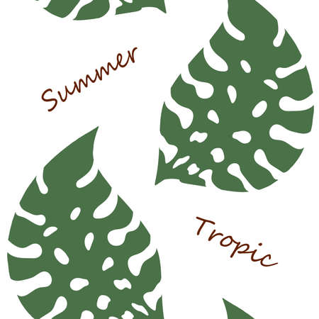 Palm leaves seamless pattern. Tropical leaves isolated on white backgroundのイラスト素材