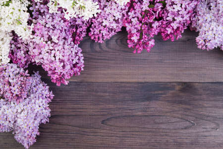 The beautiful lilac flowers on a dark wooden backgroundの写真素材