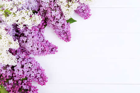 The purple and white lilac flowers on a white wooden tableの写真素材