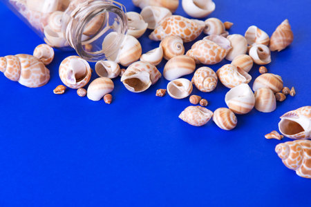 Colorful marine seashells spill out of the bottle glass on the blue background. Space for text