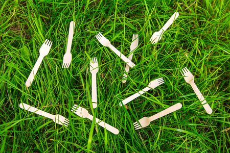 Tree forks eco-friendly wooden green grassの写真素材