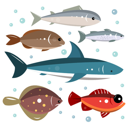 Set of sea fishes isolated on a white background. Vector illustration for design.のイラスト素材