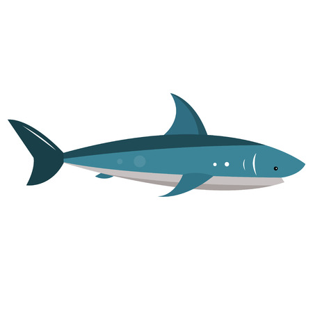 Shark. Sea dweller in flat style. Vector illustration isolated on white background.のイラスト素材
