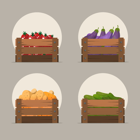 Set of vegetables in flat style. Vector illustration of wooden boxes with tomatoes, cucumbers, eggplant and potatoes.のイラスト素材