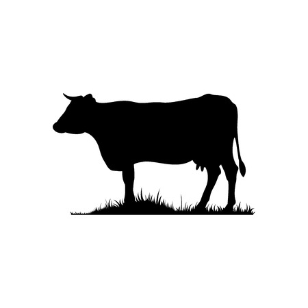 Vector silhouette of the cow. Farm animal on the grass of the pasture.のイラスト素材