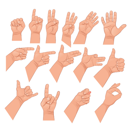 Set of hand gestures. Vector illustration isolated on white background.のイラスト素材