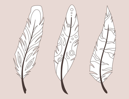 vintage feathers. black and white.のイラスト素材