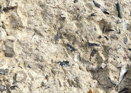 texture of gray uneven concrete interspersed with small gray stones for background and Wallpaper