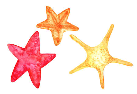 watercolor starfish red orange and yellow colors in different shapes for your designの写真素材