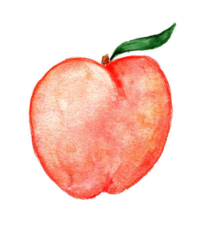 Peaches a red watercolor illustration of a hand drawn fruit with a green leaf isolated on a white backgroundの写真素材