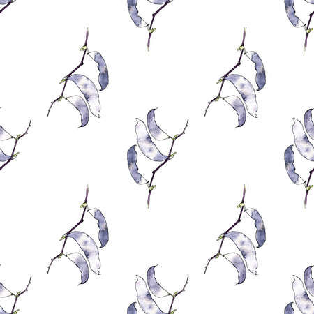 Various black beans with botanical element branch seamless pattern.の写真素材